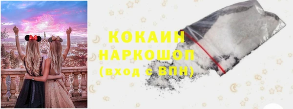 индика Верея