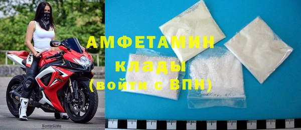 индика Верея